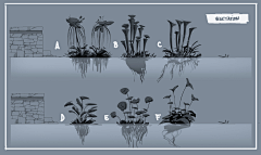 Sandman0v0采集到草本植物