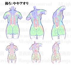 Bramasolo采集到繪畫資料·結構