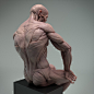 Male Écorché - Michelangelo's David, Kotaro Fukuda : Another pose version of ecorche project that I posted the other day.