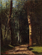 In the Woods 1859 | Camille Pissarro | oil painting