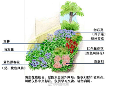 旺角冻鸳鸯采集到水彩