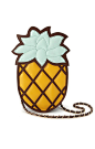 Adorable pineapple bag.