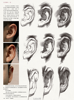 杂货铺子采集到画の教程