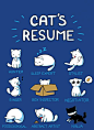 Cat's resume.: 