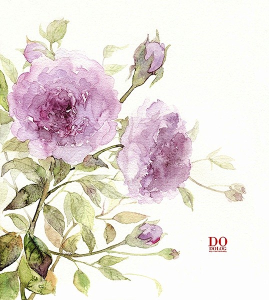 《 紫 · 蔷 薇 》花语：禁锢的幸福
