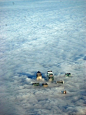 飞机上拍摄的英国伦敦，感觉就像行在云端。