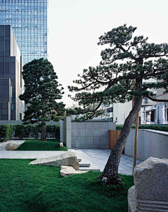 宸冶园林采集到Villa Landscape Design