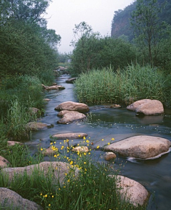 j9po采集到驳岸