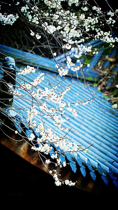 林花著雨燕支湿，水荇牵风翠带长