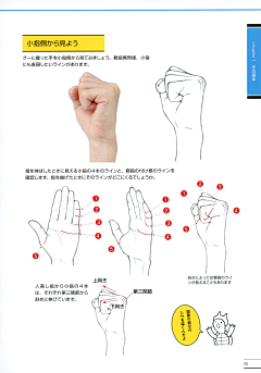 空池Konci采集到R手与脚