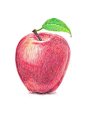 彩铅手绘苹果