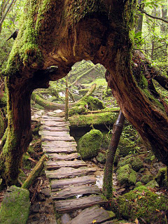 /ka海蓝冰儿采集到风景