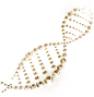 金色DNA