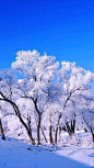 雪景