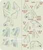 犬科动物绘制教程：狼与狗的画法-蓝铅笔
