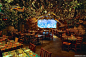 Rainforest Cafe凭什么能入驻全球迪士尼园区？ : 世界上唯一一家迪士尼指定的主题餐厅!