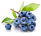 蓝莓,葡萄,水果,绿叶,水珠,树叶,水果蔬菜,餐饮美食,图片素材