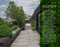 Raised beds on roof terrace // Nievera Williams