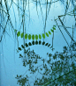 Robinia Leaf Swing:  Nils Udo