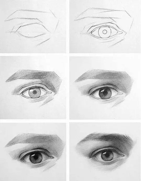 眼睛，鼻子，耳朵的不同方向，不同画法