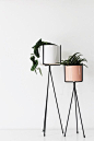 Ferm Living plantstands (http://www.nordicblends.nl/search/ferm+living+plantenstandaard+zwart/): 