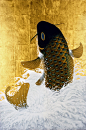 现代画家 Kudou Muramasa  工藤村正 的精彩作品。金箔画的屏风技法，从东方到西方有各种各样，都非常精致。特别是在日本的金箔画的屏风历史最悠久。工藤村正是用的丙烯画的颜料画在传统的日系金箔装裱制作的模板上