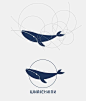 鲸鱼logo_百度图片搜索
