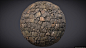 #46 Photogrammetry Texture : Wall 06, Sébastien Van Elverdinghe : It's been a while since I last posted a scan!

I spent a lot of time trying to improve the overall quality of my textures. I also upgraded from my entry level DSLR to a proper full frame on
