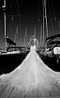 一组黑白婚纱摄影图。优雅精致。