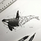 菲律宾画家 Kerby Rosanes 几何图形与动物融合插画Geometrica tattoo一半几何一半动物手绘图鲸鱼插画