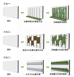 悠舞空灵采集到植物墙