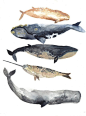 MADE TO ORDER Five Whales   -Original watercolor painting
