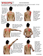Shoulder: how the scapula moves good for teaching kinesiology