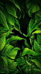 绿色植物H5背景-护肤品,化妆品,风景,植物-HTML素材网