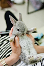 baby bunny :)