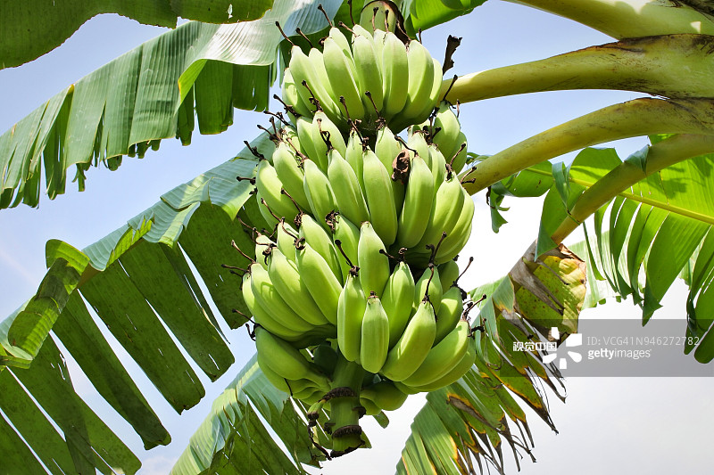 0782a05ad572791f6a9acf3c92a7378b96ae1f4030a2f-YaI584