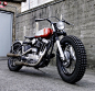 Fancy - Monkee #7 HD Sportster XLCH