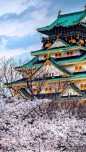 Temple from Japan seen in the Spring