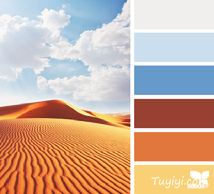 desert color