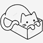 盒子猫猫皮图标 免费下载 页面网页 平面电商 创意素材