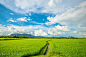 Photograph Rice field by Khingz Heartnet on 500px