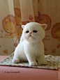 Купить Ви-Ви - белый, котик, котенок, котенок игрушка, котенок из шерсти, киска, кошечка: