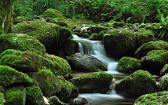 冒气苏打采集到风景