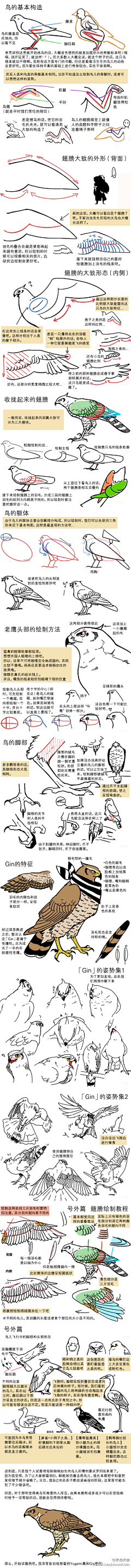 来央采集到二次 - 漫画教程