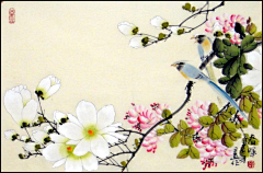 花精萍采集到绘画动物花鸟系列