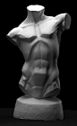 #SAI资源库#动漫 男性石膏像人物的肌肉、手臂、背、姿势构架绘画参考，非常实用，值得收藏借鉴，转需~