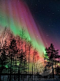 Aurora Borealis | Northern Finland ~ February