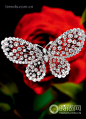 Graff Platinum Platinum Butterfly diamond brooch