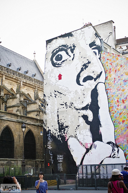 在巴黎街头，看到这么惊叹的壁画。