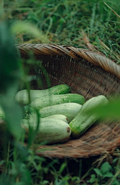 水光不是水采集到果蔬肉蛋